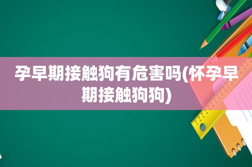 孕早期接触狗有危害吗(怀孕早期接触狗狗)