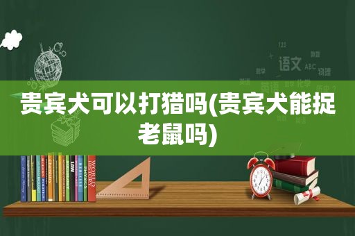 贵宾犬可以打猎吗(贵宾犬能捉老鼠吗)
