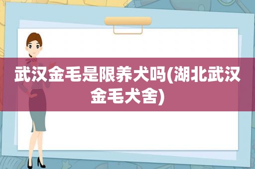 武汉金毛是限养犬吗(湖北武汉金毛犬舍)