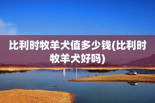 比利时牧羊犬值多少钱(比利时牧羊犬好吗)