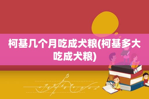 柯基几个月吃成犬粮(柯基多大吃成犬粮)