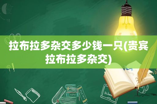 拉布拉多杂交多少钱一只(贵宾拉布拉多杂交)