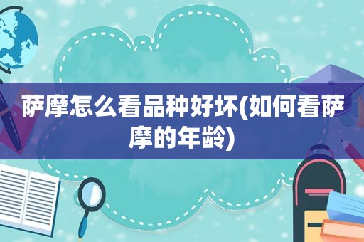 萨摩怎么看品种好坏(如何看萨摩的年龄)