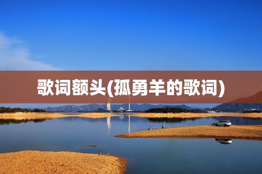 歌词额头(孤勇羊的歌词)