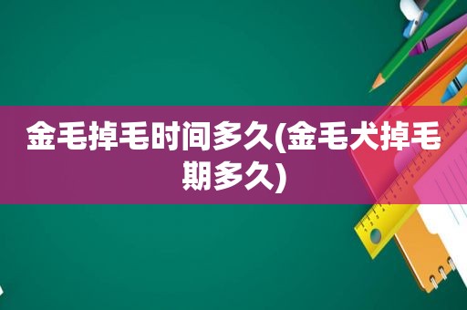 金毛掉毛时间多久(金毛犬掉毛期多久)