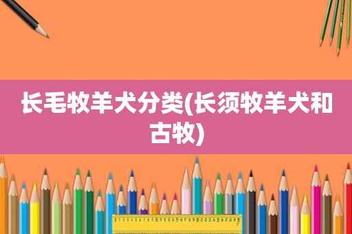 长毛牧羊犬分类(长须牧羊犬和古牧)