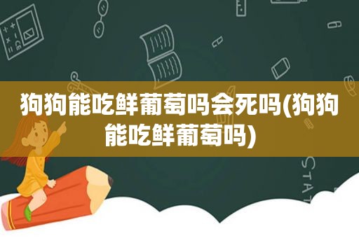 狗狗能吃鲜葡萄吗会死吗(狗狗能吃鲜葡萄吗)