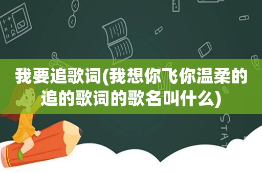 我要追歌词(我想你飞你温柔的追的歌词的歌名叫什么)