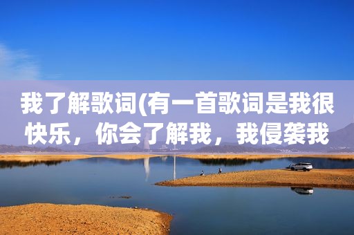 我了解歌词(有一首歌词是我很快乐，你会了解我，我侵袭我失落……什么的)