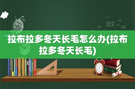 拉布拉多冬天长毛怎么办(拉布拉多冬天长毛)