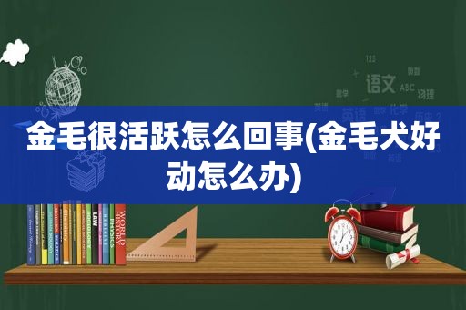 金毛很活跃怎么回事(金毛犬好动怎么办)