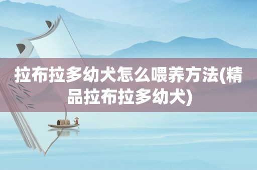 拉布拉多幼犬怎么喂养方法(精品拉布拉多幼犬)