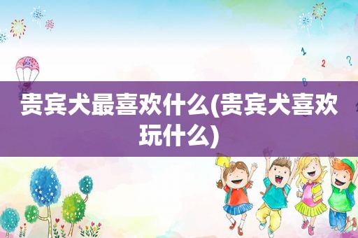 贵宾犬最喜欢什么(贵宾犬喜欢玩什么)