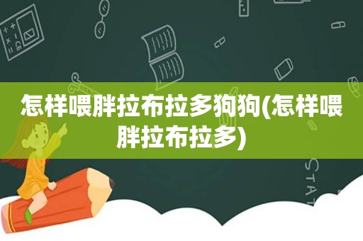 怎样喂胖拉布拉多狗狗(怎样喂胖拉布拉多)