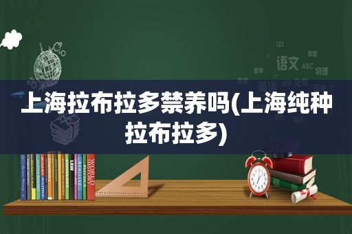 上海拉布拉多禁养吗(上海纯种拉布拉多)