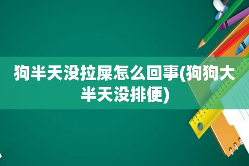 狗半天没拉屎怎么回事(狗狗大半天没排便)