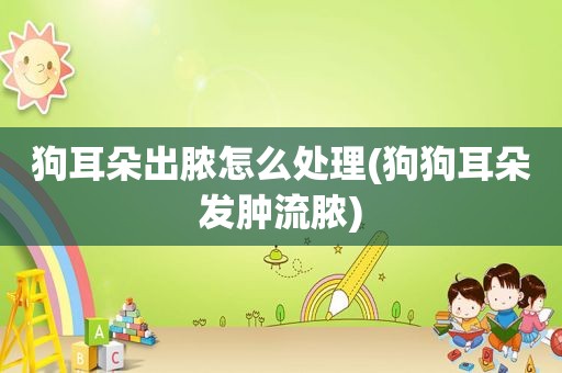 狗耳朵出脓怎么处理(狗狗耳朵发肿流脓)
