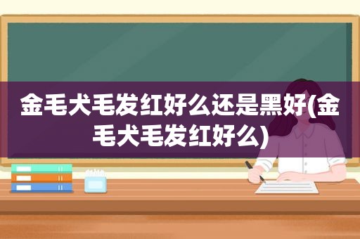 金毛犬毛发红好么还是黑好(金毛犬毛发红好么)