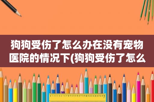 狗狗受伤了怎么办在没有宠物医院的情况下(狗狗受伤了怎么办)