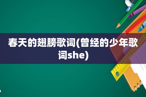 春天的翅膀歌词(曾经的少年歌词she)