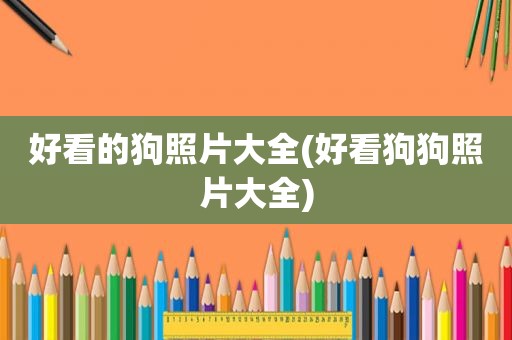 好看的狗照片大全(好看狗狗照片大全)