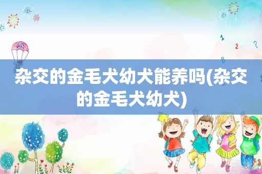 杂交的金毛犬幼犬能养吗(杂交的金毛犬幼犬)