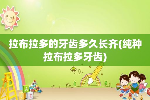 拉布拉多的牙齿多久长齐(纯种拉布拉多牙齿)