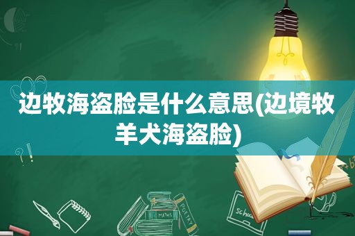 边牧海盗脸是什么意思(边境牧羊犬海盗脸)