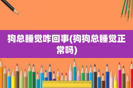 狗总睡觉咋回事(狗狗总睡觉正常吗)