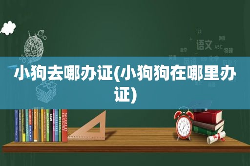 小狗去哪办证(小狗狗在哪里办证)
