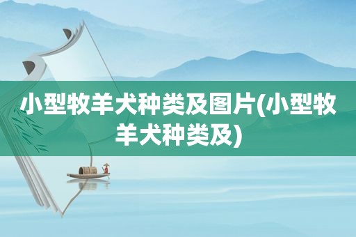 小型牧羊犬种类及图片(小型牧羊犬种类及)