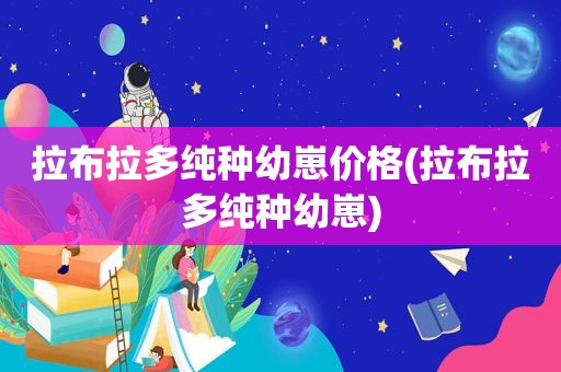 拉布拉多纯种幼崽价格(拉布拉多纯种幼崽)