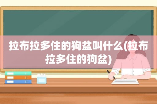 拉布拉多住的狗盆叫什么(拉布拉多住的狗盆)