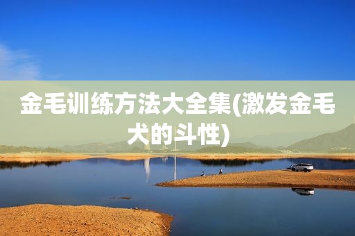 金毛训练方法大全集(激发金毛犬的斗性)