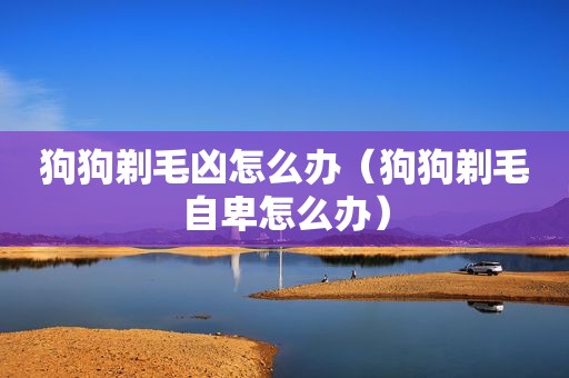 狗狗剃毛凶怎么办（狗狗剃毛自卑怎么办）