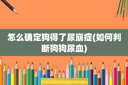 怎么确定狗得了尿崩症(如何判断狗狗尿血)