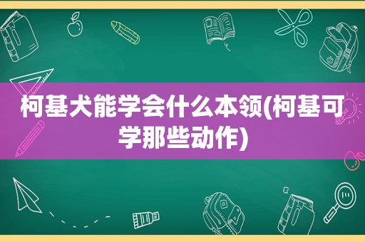 柯基犬能学会什么本领(柯基可学那些动作)