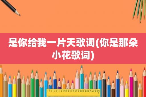 是你给我一片天歌词(你是那朵小花歌词)