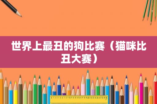 世界上最丑的狗比赛（猫咪比丑大赛）