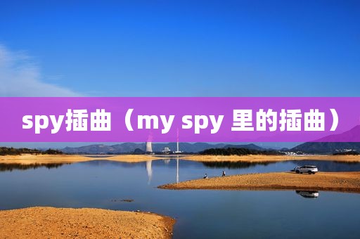 spy插曲（my spy 里的插曲）