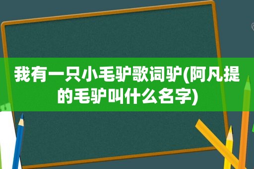 我有一只小毛驴歌词驴(阿凡提的毛驴叫什么名字)