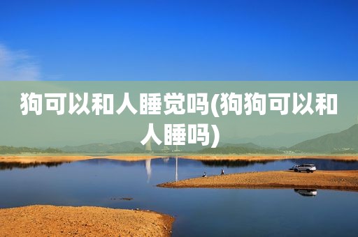 狗可以和人睡觉吗(狗狗可以和人睡吗)