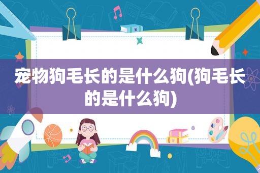 宠物狗毛长的是什么狗(狗毛长的是什么狗)