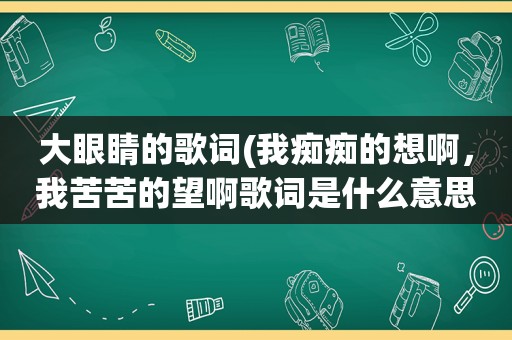 大眼睛的歌词(我痴痴的想啊，我苦苦的望啊歌词是什么意思)