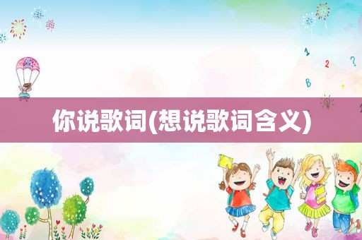你说歌词(想说歌词含义)