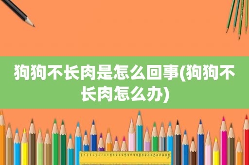 狗狗不长肉是怎么回事(狗狗不长肉怎么办)
