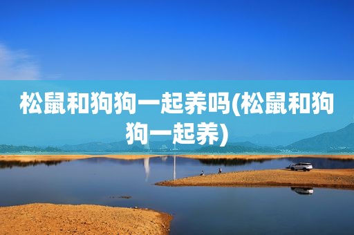 松鼠和狗狗一起养吗(松鼠和狗狗一起养)