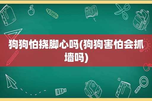 狗狗怕挠脚心吗(狗狗害怕会抓墙吗)