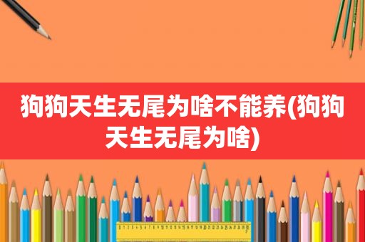 狗狗天生无尾为啥不能养(狗狗天生无尾为啥)