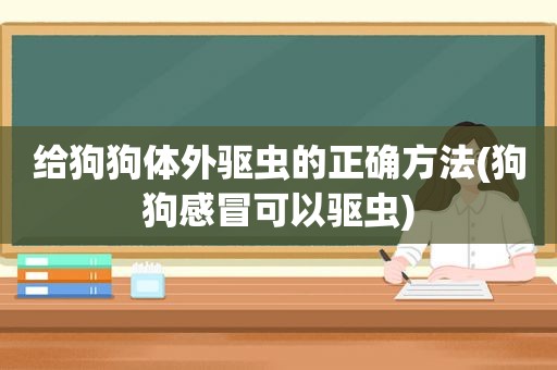 给狗狗体外驱虫的正确方法(狗狗感冒可以驱虫)